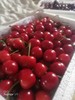 中华小樱桃4斤／份 商品缩略图6