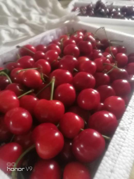 中华小樱桃4斤／份 商品图6