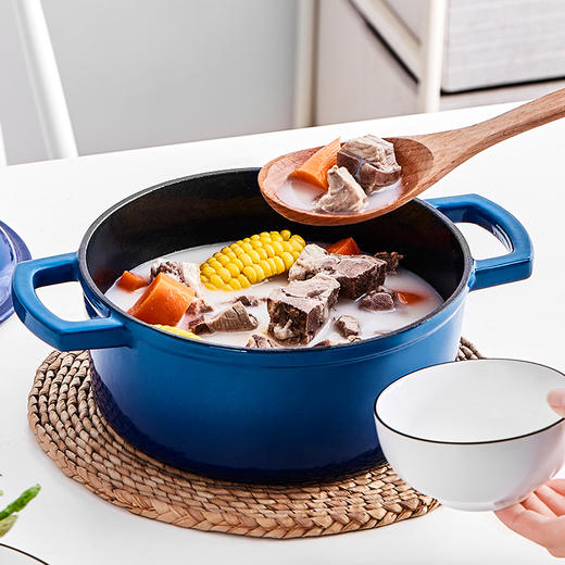 25德国cs铸铁珐琅汤锅炖锅煲汤锅不易粘锅少油烟 家庭电磁炉煤气灶