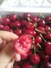 中华小樱桃4斤／份 商品缩略图2
