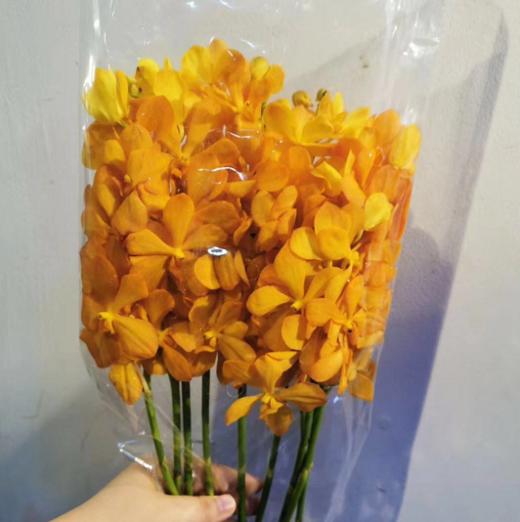 配花-千代兰-橙色-10支/扎 商品图1