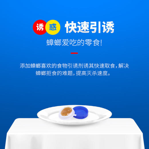 【3盒装】蓝鲲杀蟑胶饵方便贴3.8g 灭蟑螂药 商品图2