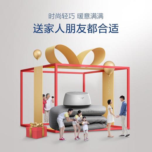 A.O.史密斯恒温水暖床垫 HWM-15F 商品图6