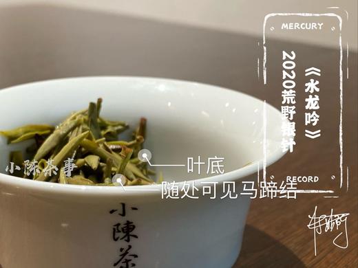 2020荒野银针《水龙吟》来了，露寒烟冷蒹葭老（一斤收藏装） 商品图11