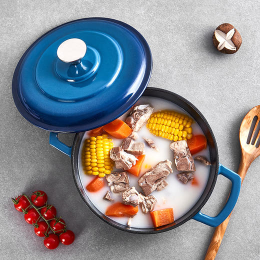 25德国cs铸铁珐琅汤锅炖锅煲汤锅不易粘锅少油烟 家庭电磁炉煤气灶