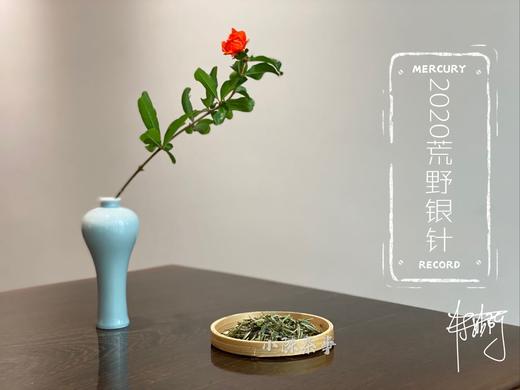 2020荒野银针《水龙吟》来了，露寒烟冷蒹葭老（一斤收藏装） 商品图0