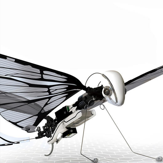 法国BionicBird MetaFly仿生昆虫遥控飞行器 商品图7