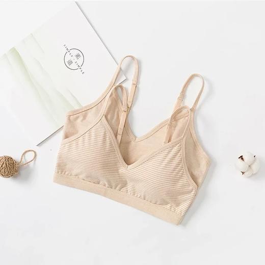 素道有机棉内衣/文胸（韵达快递） | 公平贸易*Organic cotton underwear| Fair Trade 商品图0