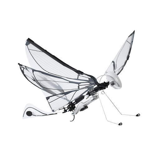 法国BionicBird MetaFly仿生昆虫遥控飞行器 商品图1