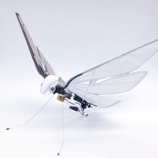法国BionicBird MetaFly仿生昆虫遥控飞行器 商品图8