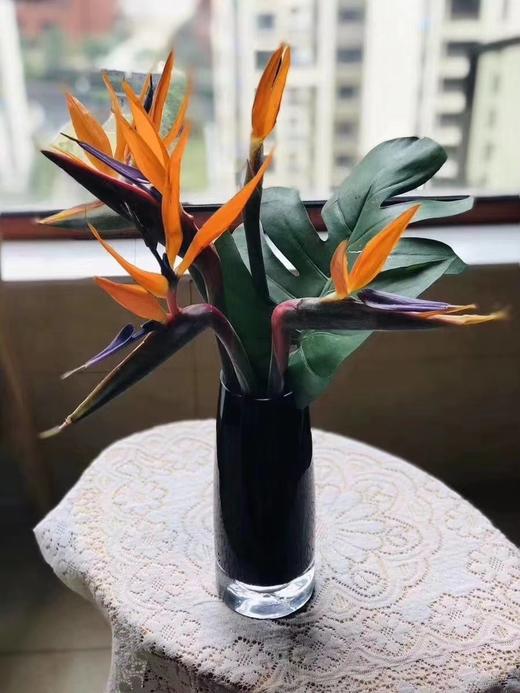 橙色天堂鸟一枝 商品图3