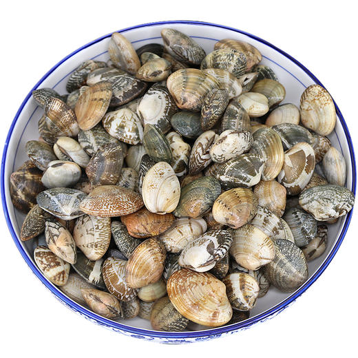 【2斤|预售】(精选) 鲜活蛤蜊二斤 大连花蛤 (重约2斤)【3月23日当天提货】 商品图5