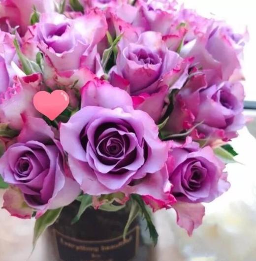 国产玫瑰ZS-紫霞-B级-20枝/扎 商品图1