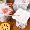 君乐宝多果丽草莓果粒酸奶90克*8杯 商品缩略图1