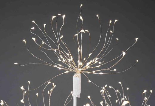 烟花树【运费自理】 商品图3