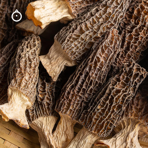 云南羊肚菌十珍菌汤包100g 营养菌菇菌干炖煮材料火锅菌菇煲汤料包