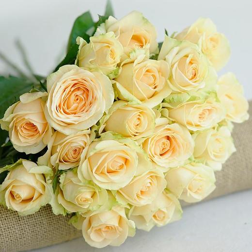 国产玫瑰-蜜桃雪山-20枝/扎博麟推荐优质 商品图0