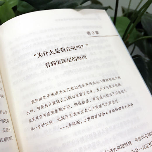 不吼不叫:如何平静地让孩子与父母合作 商品图4