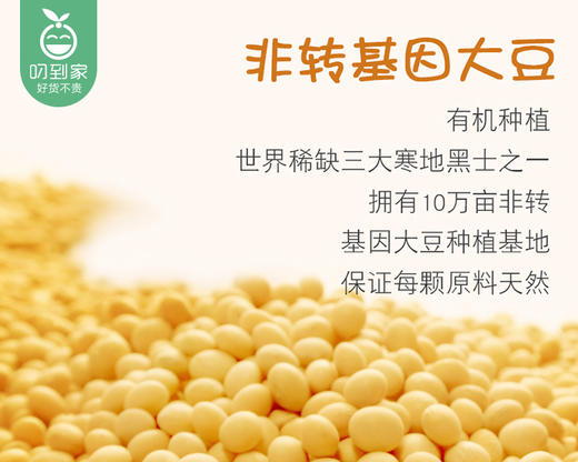 龙王原味豆浆粉/1袋450g（30g*15小包） 商品图2