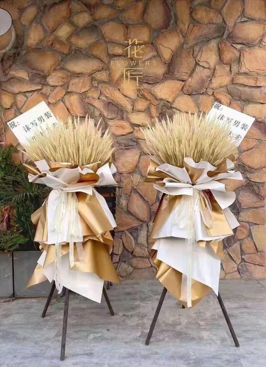 【干花】大麦/约100支  两色可选 商品图1