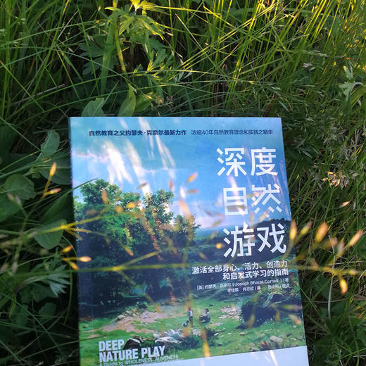 《深度自然游戏》自然教育激发全部身心、活力、创造力和启发式学习的指南 商品图2