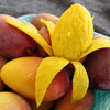 云南太阳蜜芒（芒果） 商品缩略图7