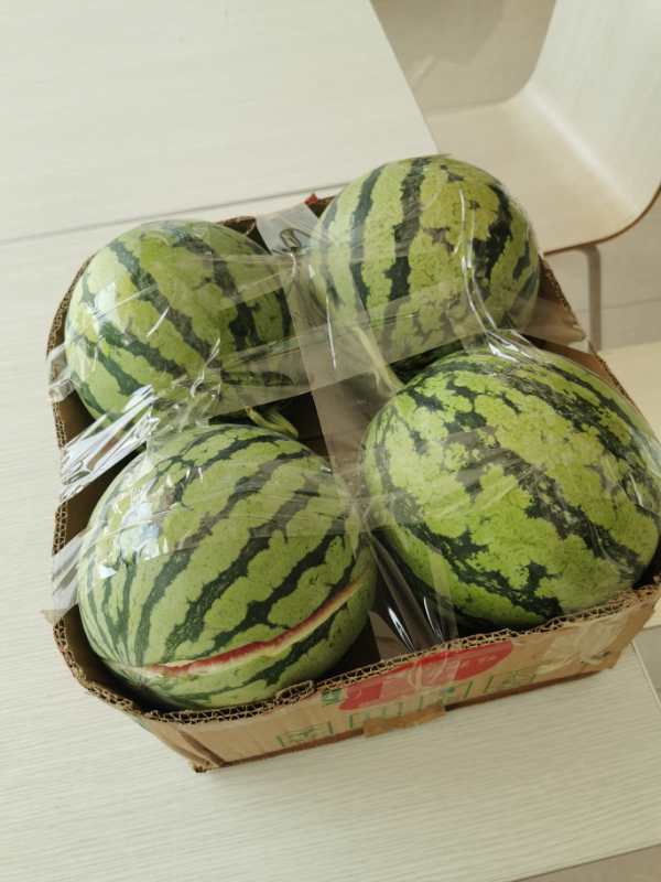 东台8424爆炸瓜4只代金券