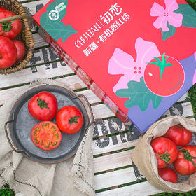 【预售】有机半亩园农场番茄 4.5斤顺丰空运 产地直发