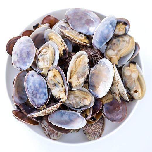 【2斤|预售】(精选) 鲜活蛤蜊二斤 大连花蛤 (重约2斤)【3月23日当天提货】 商品图1