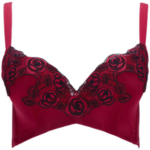 贝佳人正品玫瑰花卉刺绣文胸带胸垫小胸显大收副乳调整型内衣BW91740 商品图1