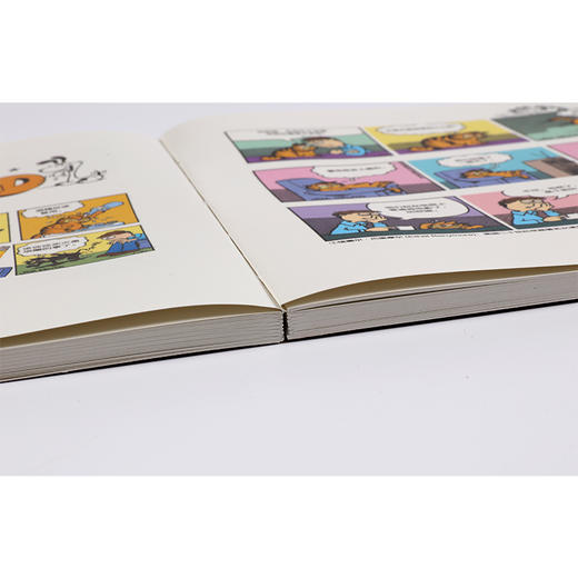 加菲猫全集：40周年限量典藏版（全套） 吉姆·戴维斯 著 商品图12