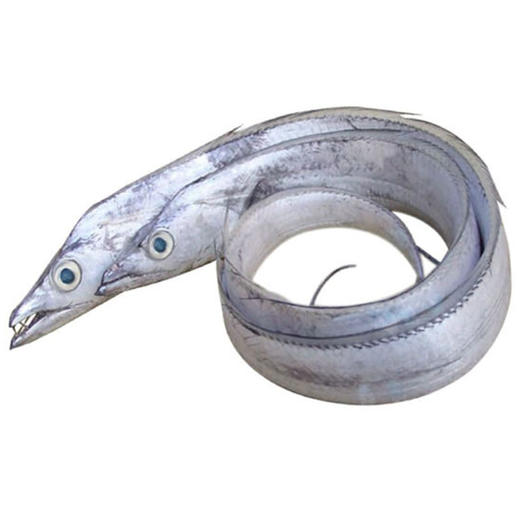 带鱼3-4【约400g】 商品图0