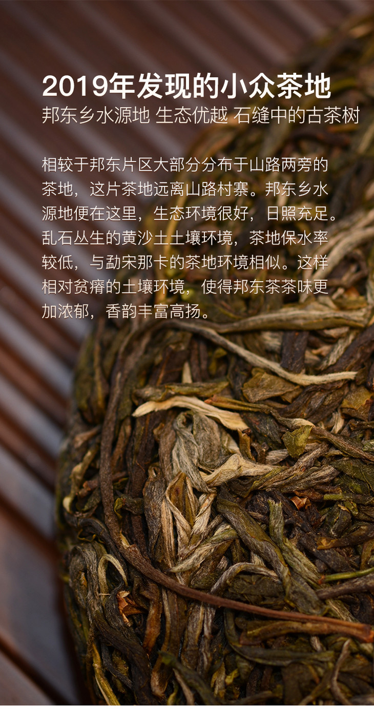 百里遥茶叶2020普洱春茶临沧邦东头春古树生茶200克5饼提