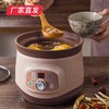 小熊（Bear） 电炖锅 紫砂煲电炖盅电砂锅BB熬粥煮粥煲粥宝宝辅食煲汤锅 DDG-D20T5 2L产地直发  商品缩略图0