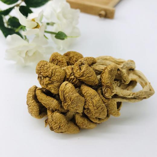 「厦航特供」古田十方优品 滑子菇70g 食用菌 干货 商品图5