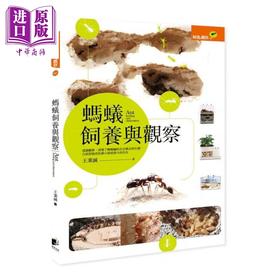 预售 【中商原版】蚂蚁饲养与观察 港台原版 王秉诚 晨星出版社 自然科普 昆虫