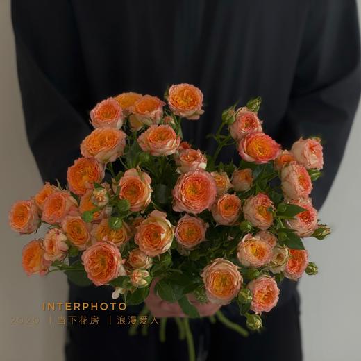 浪漫爱人多头玫瑰5支份买2份减20元每一支都有好多个花苞开放度大又美