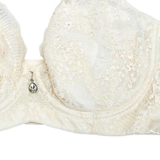 贝佳人软钢圈调整型内衣女全罩杯文胸薄款性感聚拢侧收副乳BW92712 商品图4