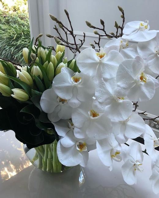 酒店大堂蝴蝶兰插花 商品图4