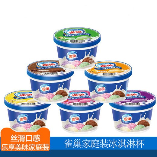 雀巢家庭装0.5l雪糕香草味/巧克力味/芒果味/哈密瓜味家庭装雪糕255g 商品图2