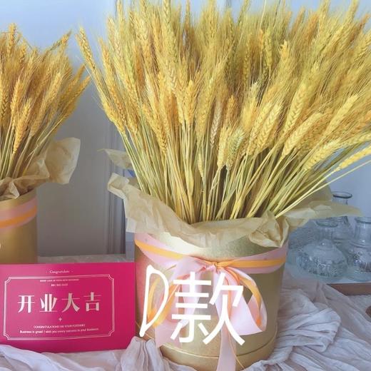 《大卖》高端大麦开业三脚架一对 商品图8