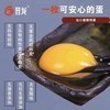鸡蛋晋龙无抗蛋/盘 商品缩略图0
