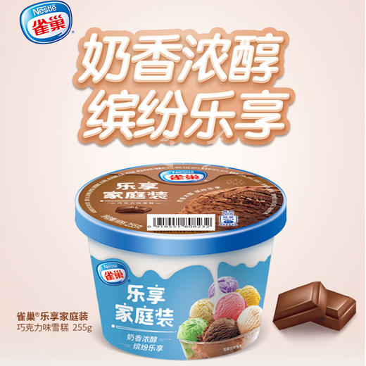 雀巢家庭装0.5l雪糕香草味/巧克力味/芒果味/哈密瓜味家庭装雪糕255g 商品图0
