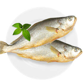 小黄花鱼【约500g】