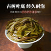 霏鸿茶叶 普洱茶生茶布朗山高山云雾古树纯料小沱茶明前头春新茶龙珠生普洱250g 商品缩略图3