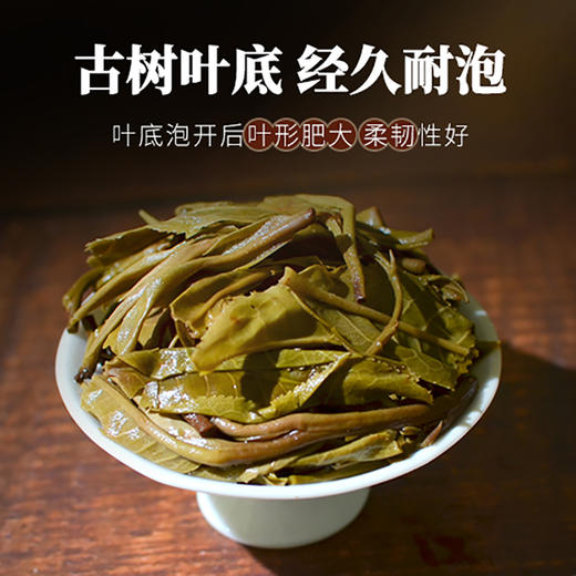 霏鸿茶叶 普洱茶生茶布朗山高山云雾古树纯料小沱茶明前头春新茶龙珠生普洱250g 商品图3