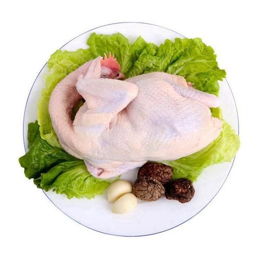 冻东北土鸡【约1400g-1500g】 商品图0