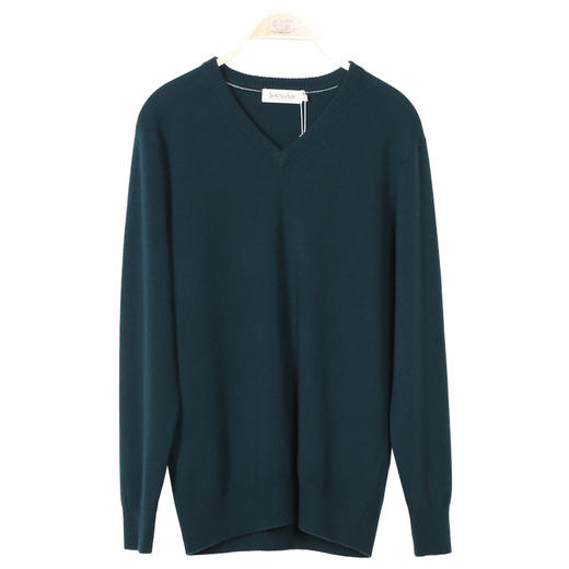 羊绒世家秋冬新款V领男羊绒衫商务休闲套衫宽松薄款鸡心领毛衣男 商品图6