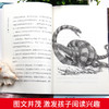 沈石溪动物小说 8册-带孩子进去奇妙的动物世界 学校指定阅读 商品缩略图4