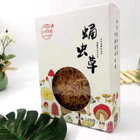 「厦航特供」古田十方优品 蛹虫草120g 食用菌 干货
